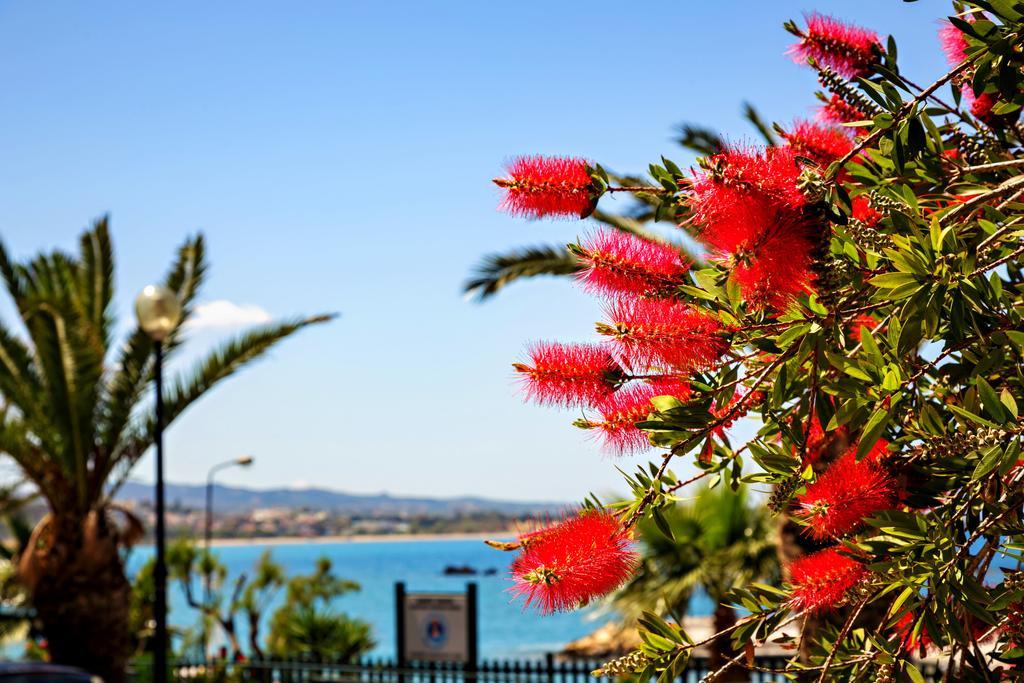 Stam'S Paradise Chrissi Akti Chania Exterior foto